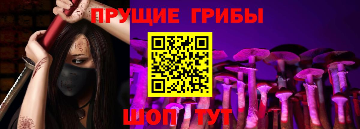 Можга  Галлюциногенные грибы Cubensis  Вход с VPN 
